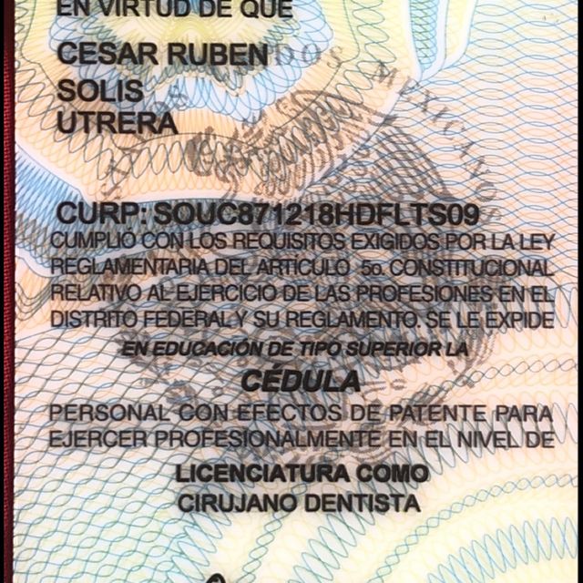 Ampliar imagen: certificate 3