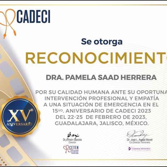 Ampliar imagen: certificate 3