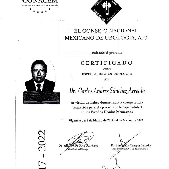 Ampliar imagen: certificate 3