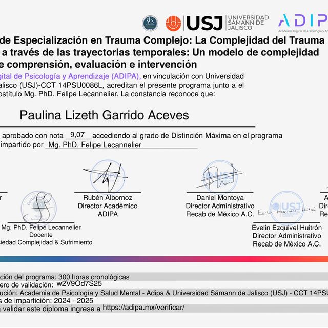 Ampliar imagen: certificate 7