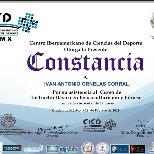Ampliar imagen: certificate 21