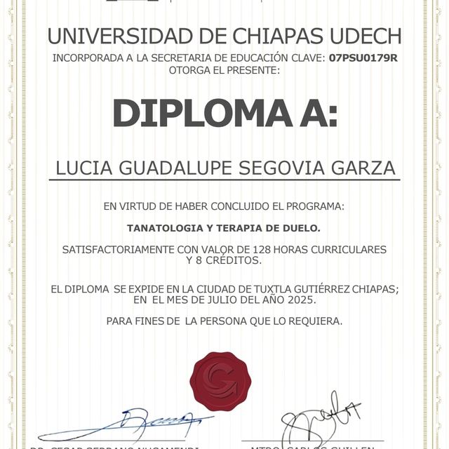 Ampliar imagen: certificate 2