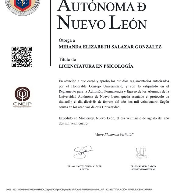 Ampliar imagen: certificate 4