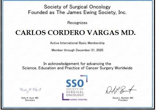 Ampliar imagen: certificate 2