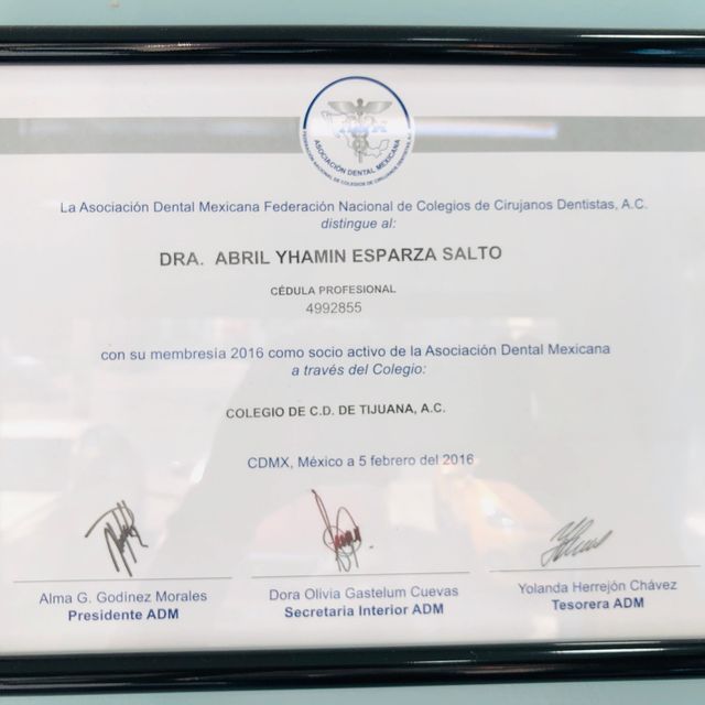 Ampliar imagen: certificate 3