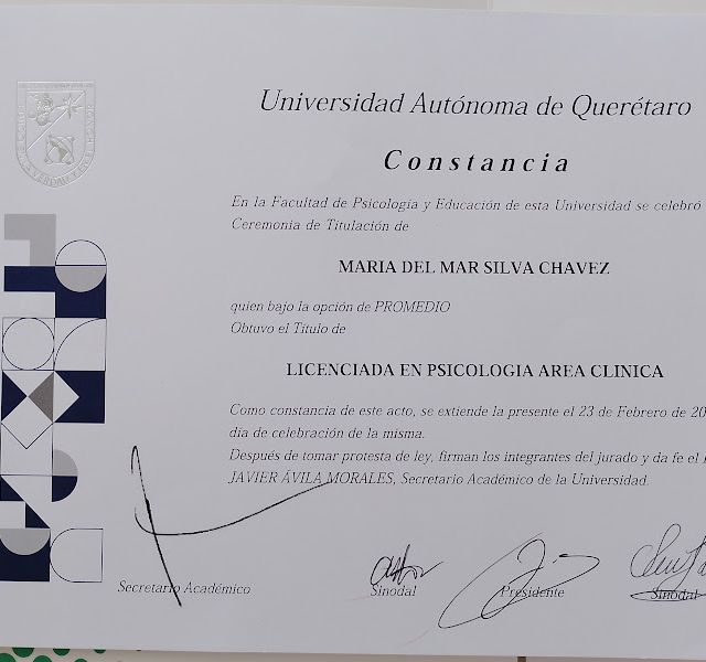 Ampliar imagen: certificate 1