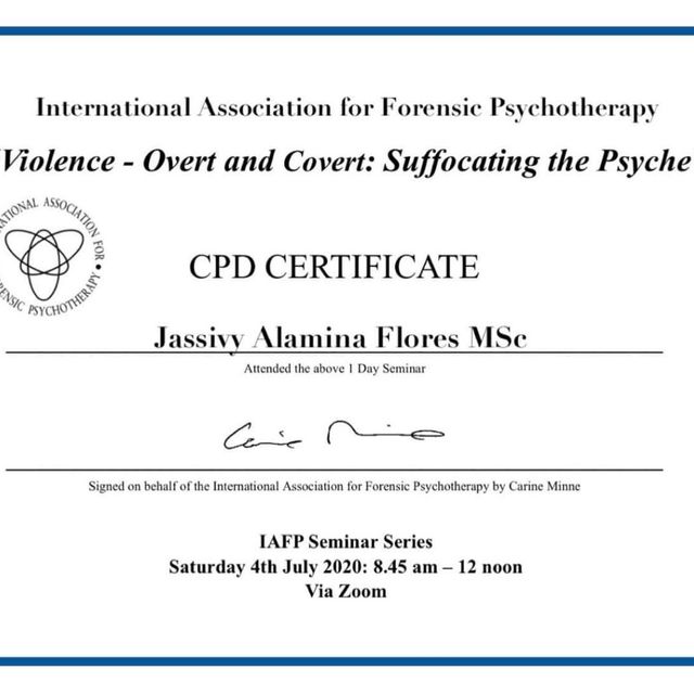 Ampliar imagen: certificate 2