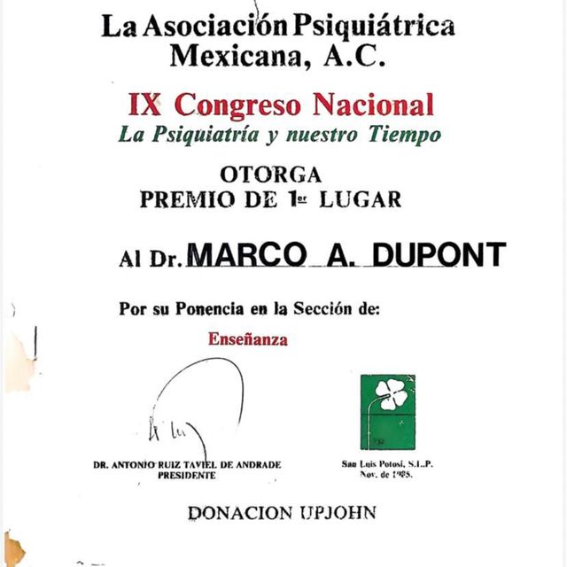 Ampliar imagen: certificate 3