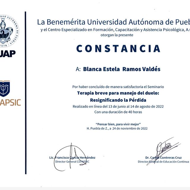 Ampliar imagen: certificate 4