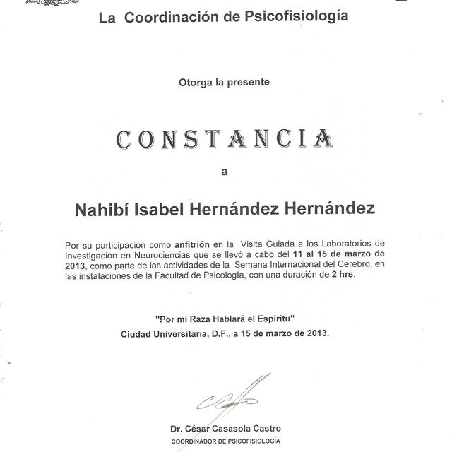 Ampliar imagen: certificate 7