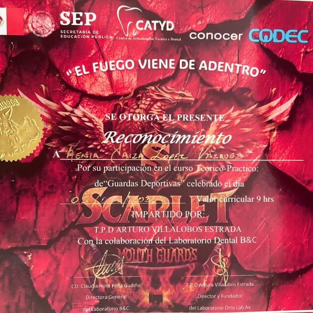 Ampliar imagen: certificate 2