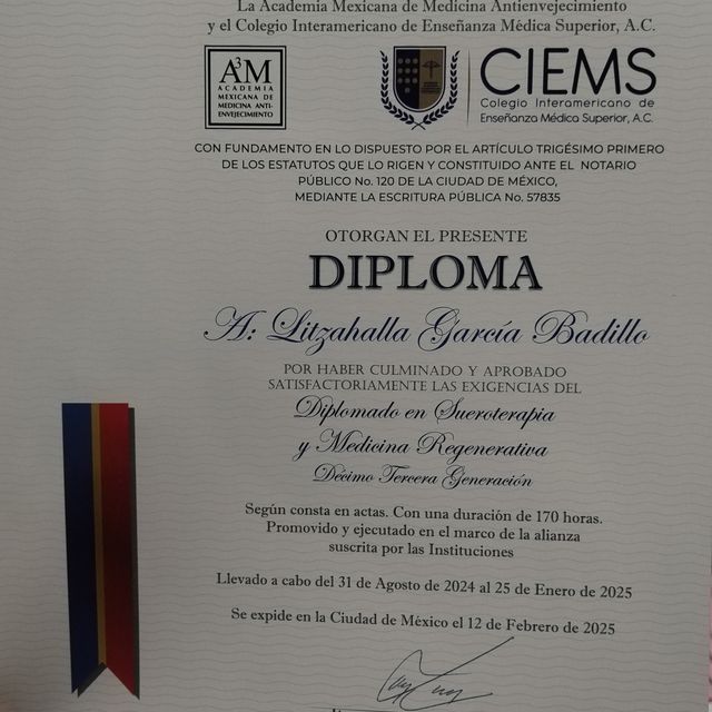 Ampliar imagen: certificate 1