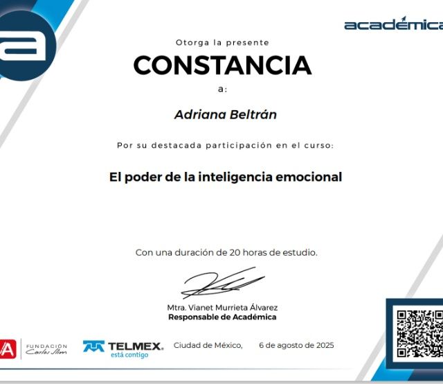 Ampliar imagen: certificate 7