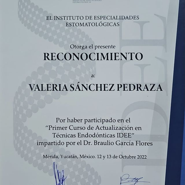Ampliar imagen: certificate 7