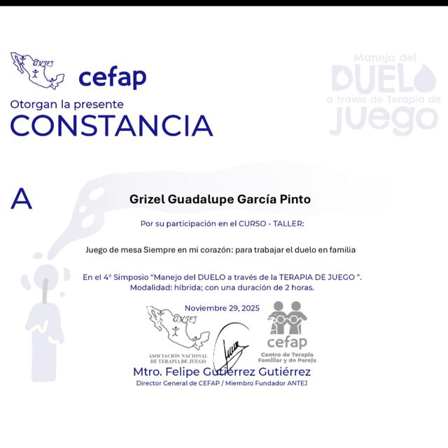 Ampliar imagen: certificate 5