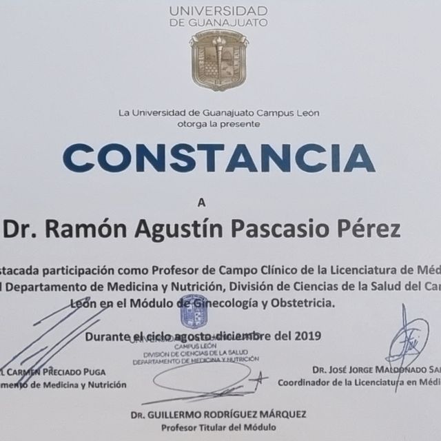 Ampliar imagen: certificate 28