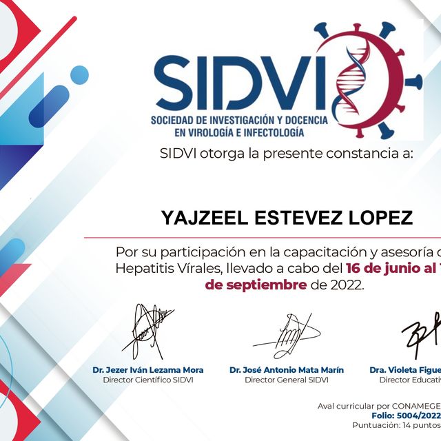 Ampliar imagen: certificate 7