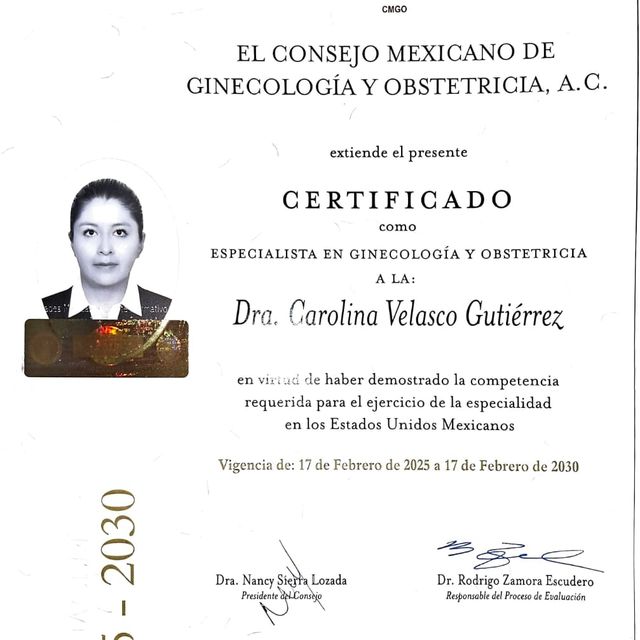 Ampliar imagen: certificate 3