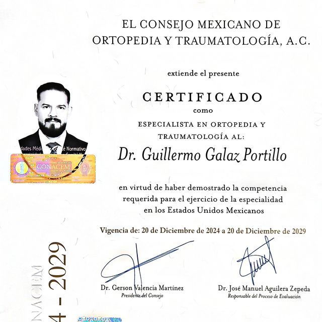 Ampliar imagen: certificate 1