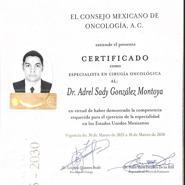 Ampliar imagen: certificate 3