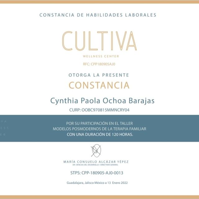 Ampliar imagen: certificate 5