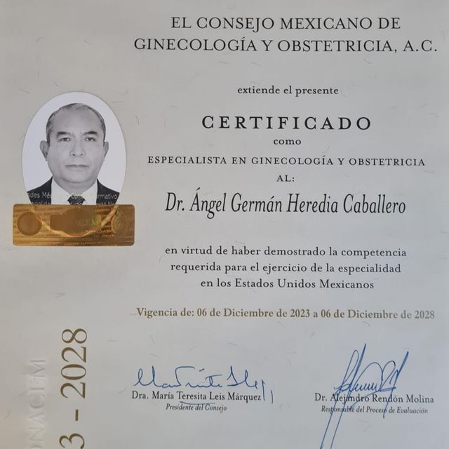 Ampliar imagen: certificate 1
