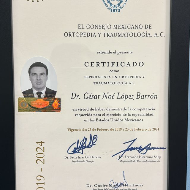 Ampliar imagen: certificate 1