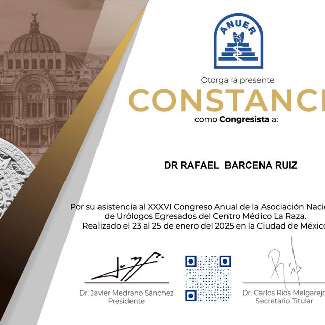 Ampliar imagen: certificate 7