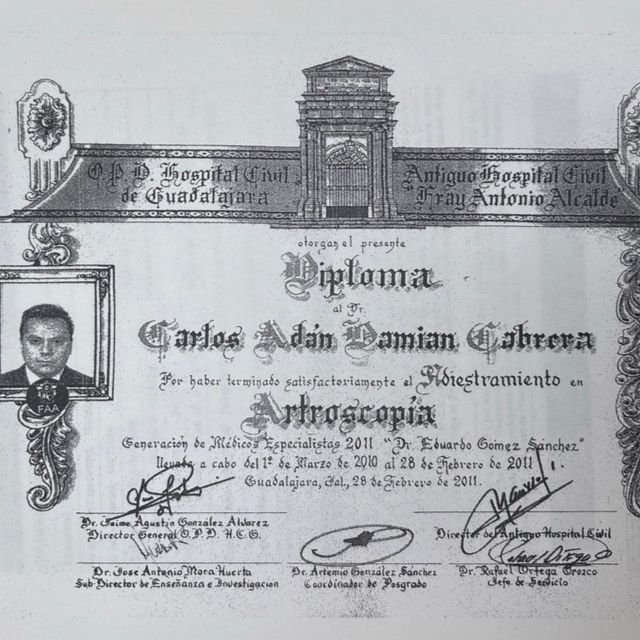 Ampliar imagen: certificate 7