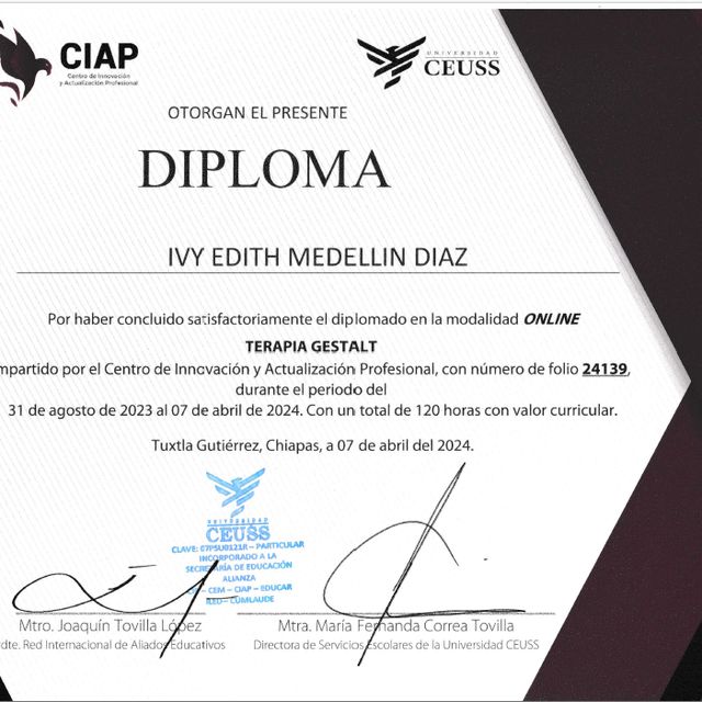 Ampliar imagen: certificate 2