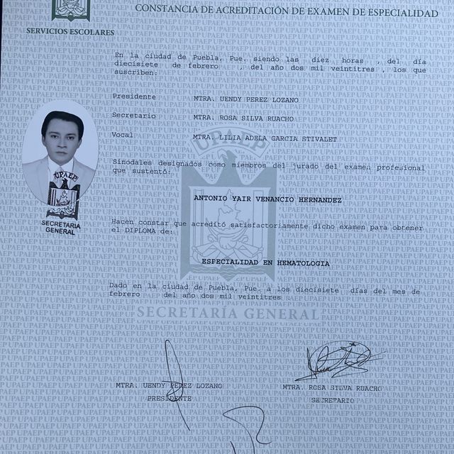 Ampliar imagen: certificate 3