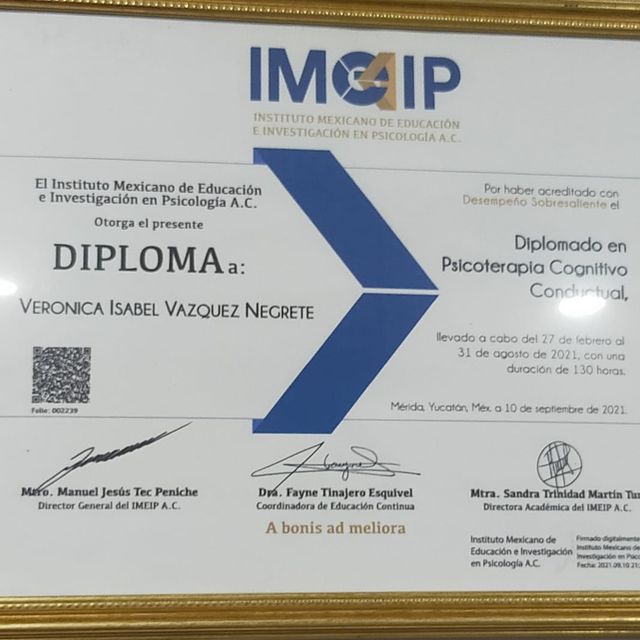 Ampliar imagen: certificate 22