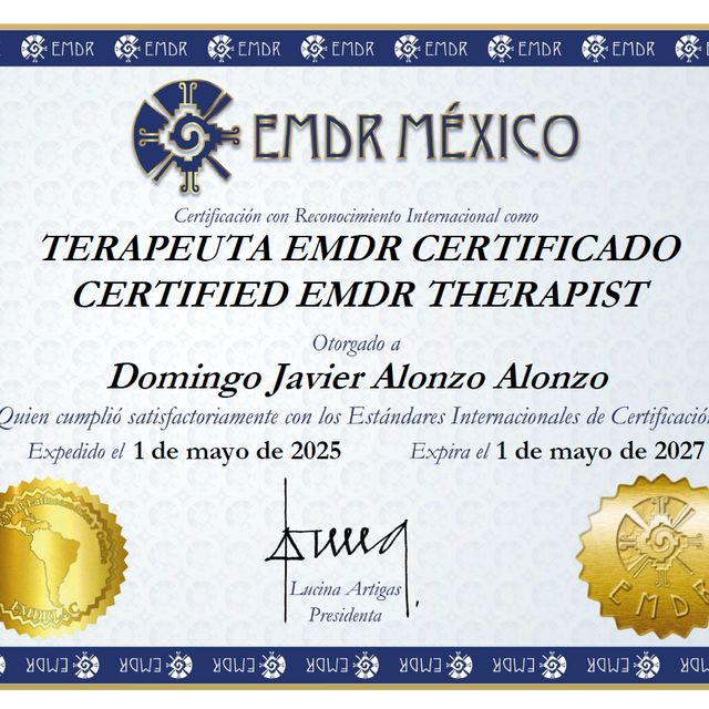 Ampliar imagen: certificate 1