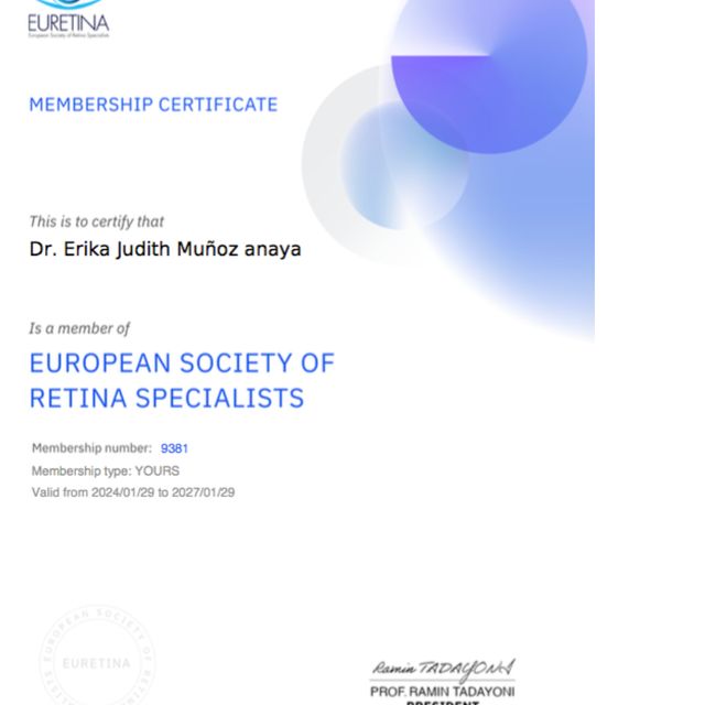 Ampliar imagen: certificate 4