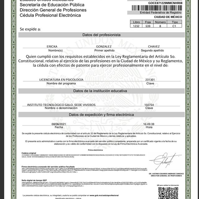 Ampliar imagen: certificate 1