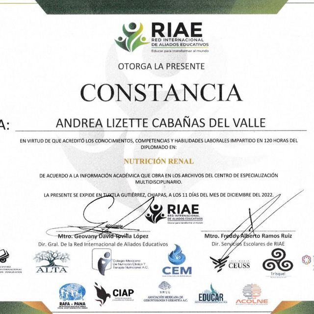 Ampliar imagen: certificate 2