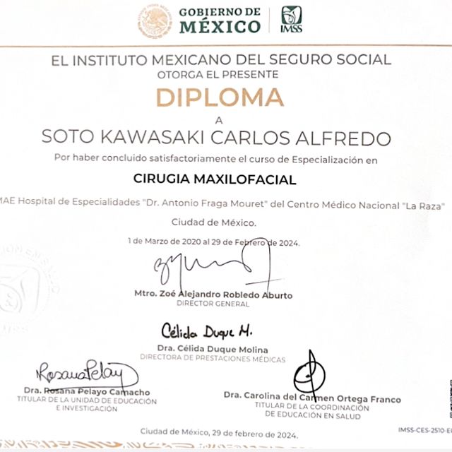 Ampliar imagen: certificate 3