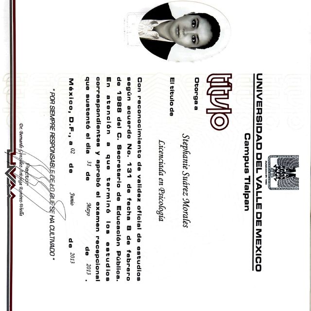 Ampliar imagen: certificate 1