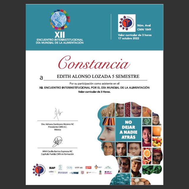 Ampliar imagen: certificate 3