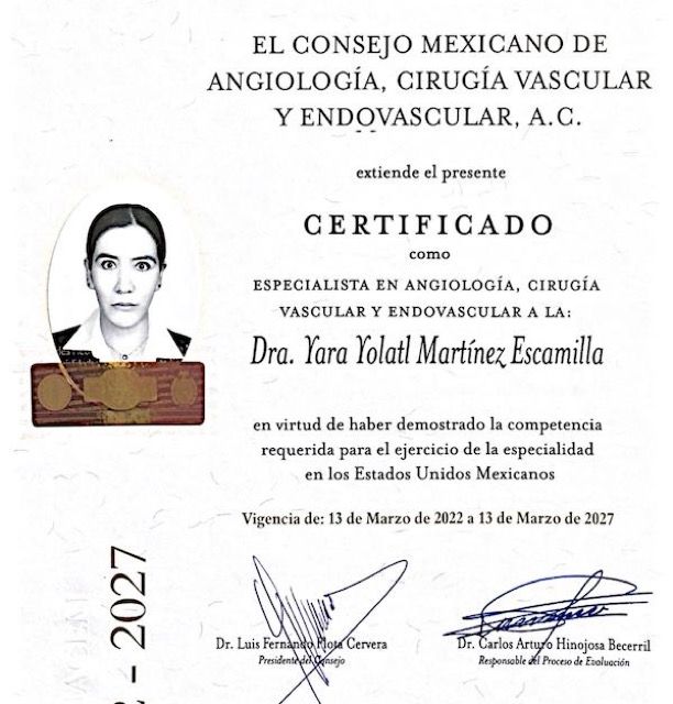 Ampliar imagen: certificate 5