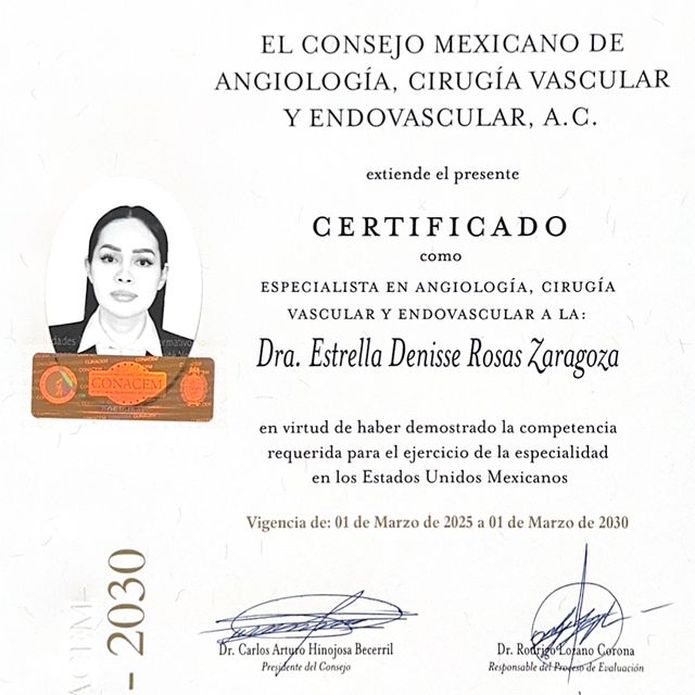 Ampliar imagen: certificate 2