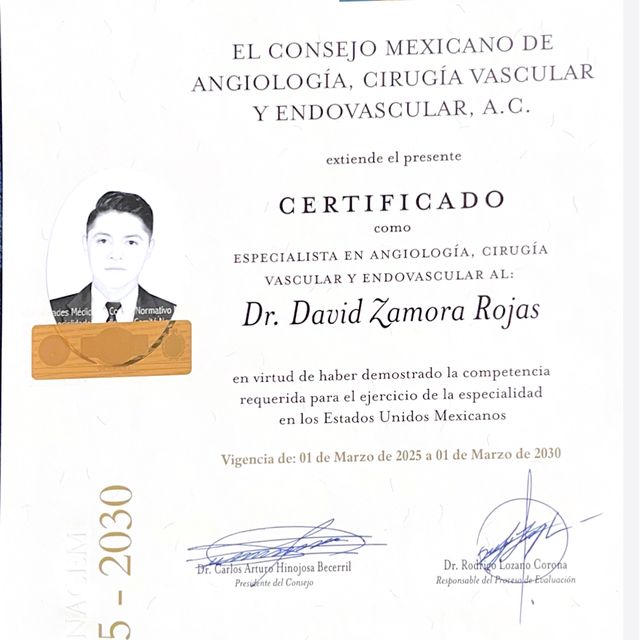 Ampliar imagen: certificate 2