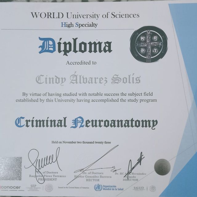 Ampliar imagen: certificate 14
