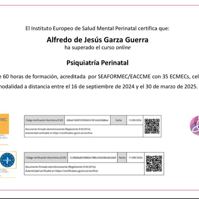 Ampliar imagen: certificate 11
