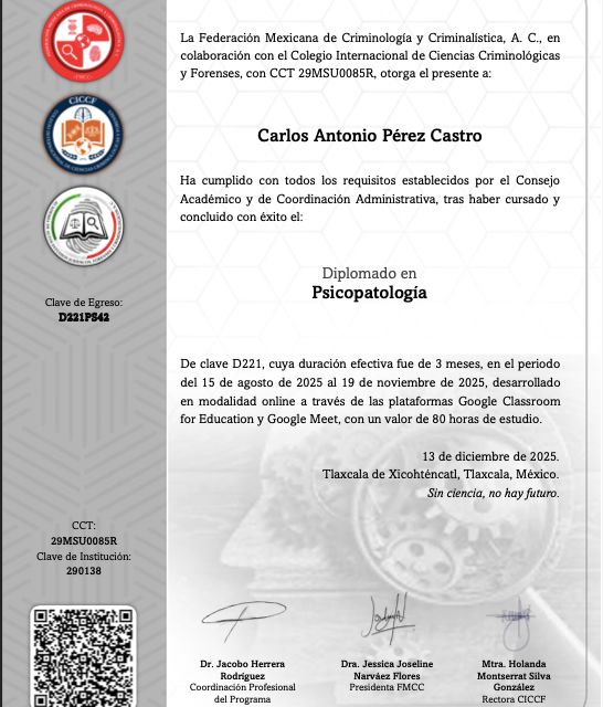 Ampliar imagen: certificate 6