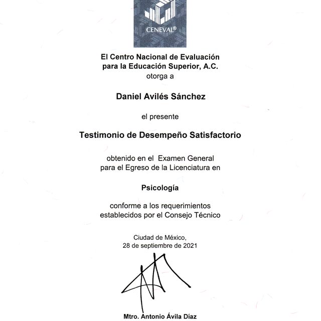 Ampliar imagen: certificate 1