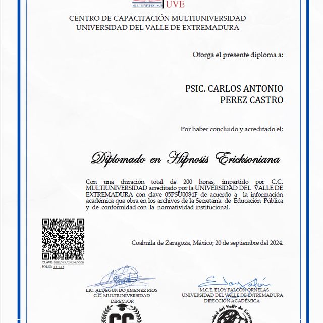 Ampliar imagen: certificate 1