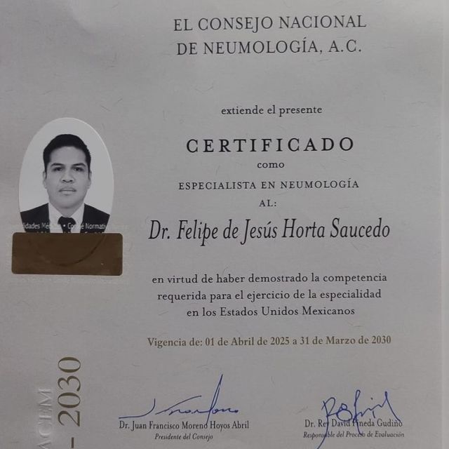 Ampliar imagen: certificate 2