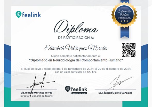 Ampliar imagen: certificate 8