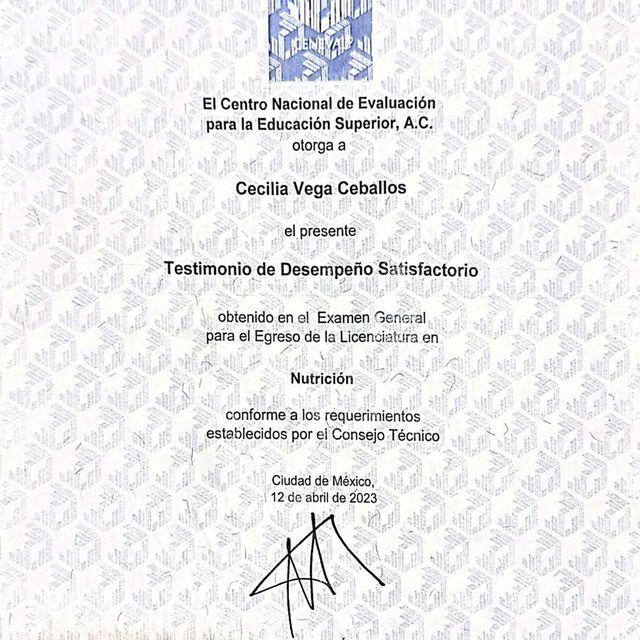 Ampliar imagen: certificate 3